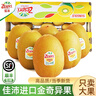 佳沛（zespri）新西兰 阳光金奇异果12粒礼盒特大果单果约122-146g 猕猴桃 水果 实拍图
