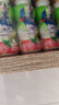 QQ星伊利乳酸菌饮品180ml*16瓶草莓猕猴桃味 礼盒装 实拍图