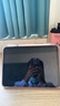 Apple/苹果 iPad11英寸 A16芯片2025年款 平板电脑 (256GB WLAN版/学习办公娱乐)粉色 实拍图