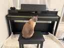 美嘉MP-12PRO电钢琴88键重锤数码钢琴专业考级电子钢琴智能钢琴 MP-12Pro专业级白色+重锤键盘 实拍图