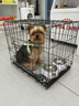 腆宠狗笼猫笼 狗笼子中小型犬带厕所幼犬狗窝猫笼子大号家用围栏兔笼 实拍图
