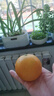 京鲜生 爱媛果冻橙 净重5斤 单果130g起 生鲜水果桔子礼盒 实拍图