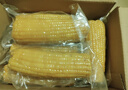 京鲜生 东北黄玉米260g*10棒 真空包装黏玉米棒粘玉米 源头直发 实拍图