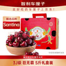 京鲜生 智利Santina车厘子巨无霸3J级5斤礼盒果径约30-32mm【赠送卡尺】 实拍图