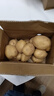 新鲜土豆现挖现发山东正宗黄心黄肉当季蔬菜马铃薯洋芋薯条3两起 山东土豆带箱3斤 中大果 实拍图
