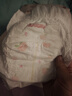 好奇（Huggies）铂金装小桃裤纸尿裤XL96片(12-17kg)加大号尿不湿透【透爽散热】 实拍图