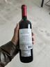 KAKTOS仙人掌【锋芒系列】赤霞珠干红进口酒 750ml*6 热门商品 实拍图