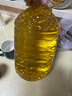 多力【张若昀同款】黄金3益葵花籽油4L 食用油 含维生素a 实拍图