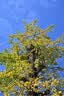腾龙（Tamron）A063 28-75mm F/2.8 G2二代风光人像视频直播 腾龙28-75二代 全画幅微单相机镜头 28 75 尼康Z卡口 套餐四【送腾龙UV滤镜大礼包+享24期白条免息】 实拍图