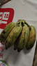广西小米蕉小香蕉自然熟迷你香蕉苹果蕉小芭蕉新鲜水果特产鸡蕉 苹果蕉 5斤 香甜软糯 实拍图