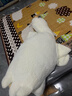 熊猫熊大白鹅玩偶抱枕陪睡觉布娃娃毛绒玩具超大公仔夹腿男生日礼物女生 实拍图