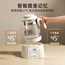小壮熊恒温水壶 恒温壶婴儿调奶器 热烧水壶温热暖奶器冲奶电热水壶家用 实拍图