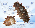辽参【大连产地】有机冷冻海参3斤装10-12头*3非即食独立包装源头直发 实拍图