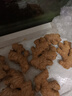 正宗云南罗平新鲜小黄姜老姜生姜月子入药泡脚煲汤姜枣膏炒菜调料 2年老小黄姜5斤【药食两用】 实拍图