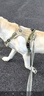 嬉皮狗狗狗牵引绳大型犬胸背带背心式防爆冲遛狗绳子 XL码 建议46-90斤 实拍图