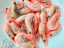 鲜京采 精选北极甜虾 净重3斤/盒 135-180只 解冻即食  实拍图