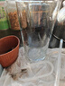 帕莎帕琦进口玻璃杯啤酒饮料牛奶杯钢化耐热奶茶水杯子570ML1只42287-透明 实拍图