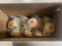 港荣蒸蛋糕奶香900g小面包早餐零食饼干嫩鸡蛋西式糕点纯蛋糕礼品盒物 实拍图