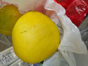 福建平和老树红柚 新鲜现摘 皮薄肉厚多汁 蜜柚柚子 1-1.5斤一粒 实拍图