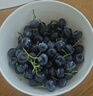 云南高山大蓝莓125g 18mm 实拍图