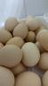 京鲜生【每日鲜蛋】无抗谷物鸡蛋30枚3.78斤 当日产蛋 当日发货 实拍图