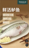 鲜活冲浪河鲈鱼400-500g/条 实拍图