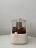 BASSENS巴森小方炖全玻璃养生壶0胶0拼接1.2L煮茶器煮茶壶恒温家用多功能办公室小型电陶炉花茶 BS-D7 实拍图