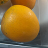 集南鲜 赣南脐橙 江西橙子新鲜现摘水果脐橙时令生鲜水果甜橙 水果礼盒 彩箱10斤特级橙  单果220g+ 净重9斤 推荐 实拍图