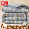 红豆家纺（HOdoHome）被子冬被加厚保暖单双人棉被四季通用春秋被学生宿舍被芯被褥冬季 兰黄格【加厚保暖 亲肤柔软】 150x200cm重约4斤【秋冬被】 实拍图