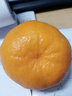 京喜加【25年鲜橙】云南冰糖橙新鲜采摘秋橙当季新鲜水果 带箱1斤55-60mm 实拍图