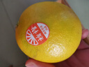 褚橙 云南冰糖橙  优级果 L 10斤装 单果约130g起 生鲜水果礼盒 实拍图