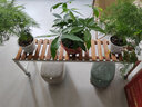 花憩小筑阳台花架2025新款单层长条移动带轮花盆架花架子客厅落地式置物架 长120宽26高35【带轮】 白色 实拍图