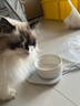 HELLOJOY猫咪加热宠物陶瓷碗恒温饮水碗狗狗食盆冬季保温 三档控温400ML 实拍图