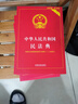 2024中华人民共和国刑法（实用版）（第十版）根据刑法修正案（十二）全新修订  批量采购专线400-026-0000 实拍图