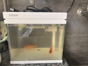 森森（SUNSUN）超白鱼缸一体缸自循环客厅水族箱桌面家用懒人免换水小型金鱼缸 超白HEJ250标配 带滤材+棉 实拍图
