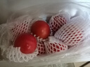 京鲜生 山东普罗旺斯沙瓤西红柿 净重3斤 单果90g起 沙瓢番茄 源头直发 实拍图