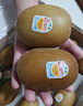 佳沛（zespri）新西兰  阳光金奇异果16粒礼盒经典果单果约 77-103g 水果 猕猴桃 实拍图