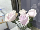 京东鲜花产地仓严选玫瑰颜色随机家庭插花随机玫瑰10枝源头直发 实拍图