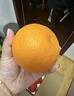京鲜生 四川爱媛38号果冻橙 净重8.5-9斤 单果210g+ 源头直发包邮 实拍图