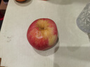 京鲜生 山东栖霞红富士苹果精品12粒 单果190g-240g  水果礼盒 实拍图
