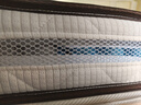 海马亦言床垫 席梦思天然乳胶椰棕独立弹簧五星级十大酒店双面加厚品牌 尊享双面款15CM：乳胶+弹簧+椰棕 1.5x2.0米 实拍图