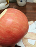 京鲜生 烟台红富士苹果 净重10斤  单果160g以上 水果礼盒 实拍图