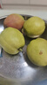京鲜生 新疆库尔勒香梨 净重5斤 一级 单果100g-120g  生鲜水果 实拍图