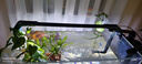 吉印刀锋s鱼缸灯led灯防水全光谱鱼缸照明灯水草灯小型超白鱼灯46cm 实拍图