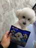 豆柴（docile）经典缤纷多维鲜冻干全价狗粮成犬幼犬比熊泰迪狗粮试吃40g*3 实拍图