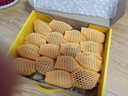 佳沛（zespri）新西兰  阳光金奇异果16粒礼盒经典果单果约 77-103g 水果 猕猴桃 实拍图