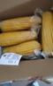 京鲜生 东北黄玉米260g*10棒 真空包装黏玉米棒粘玉米 源头直发 实拍图