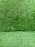 假草皮仿真草坪绿色地毯户外人造塑料人工仿生室外隔热围挡足球场 2厘米新升级加密优质春草 【1米宽/1米长】需要几米长拍几米（整卷25米） 实拍图
