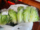 云南鲜生菜约400g 实拍图
