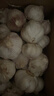 精选新鲜山东大蒜干蒜多瓣蒜头蔬菜批发产地直发大蒜头 优选 3斤 (果径≥3.5cm) 实拍图